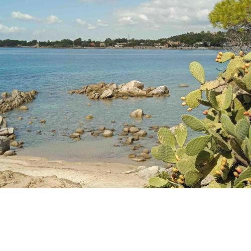 Francibelle con vista a 50 metri dal mare