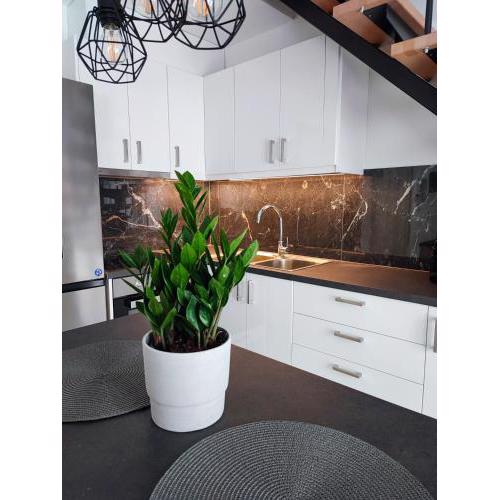 Freesia Loft Apartment