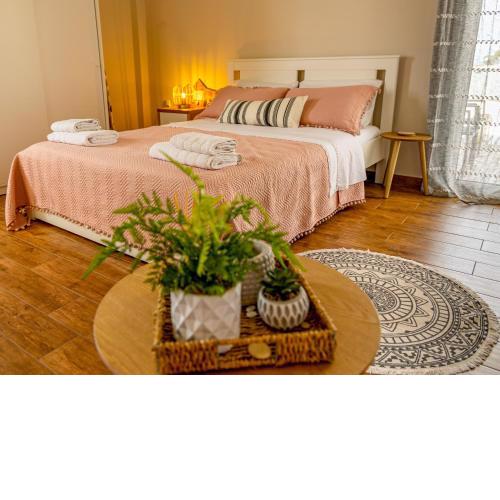 Frida appartment