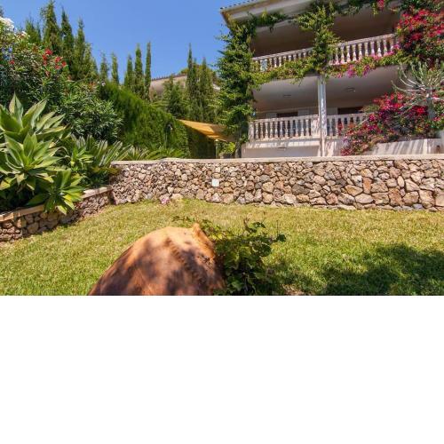 Friendly villa in Alcanada