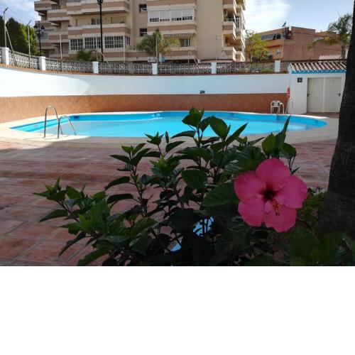 Fuengirola Sun Studio, terrace & pool