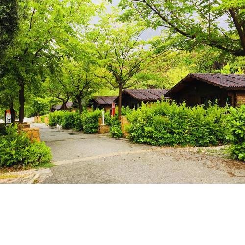 Fuente del Lobo Glamping & Bungalows - Adults Only