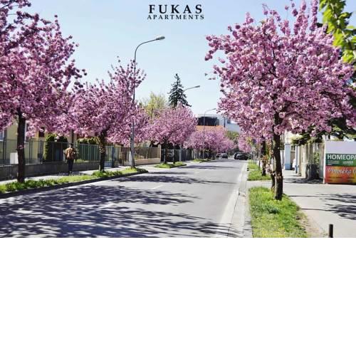 Fukas Apartments Nitra II