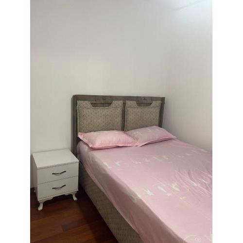 Full Furnished Entire House for Daily Rent