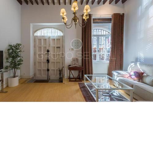 FULL HOUSE NEAR CATHEDRAL AND REAL MAESTRANZA by Antonia Diaz street