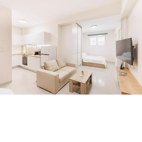 Fully renovated luxurious semi-basement studio