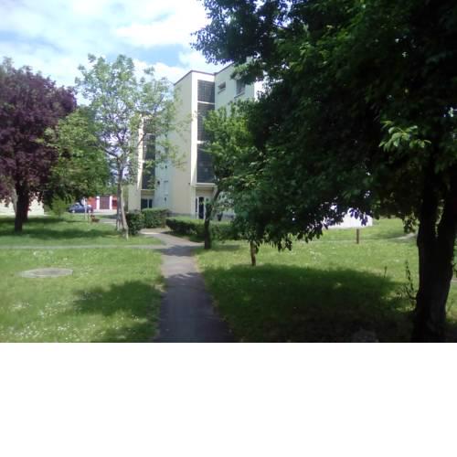 FŰZFA Apartman