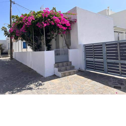 Gala Home Traditional house