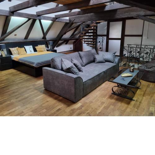 Galerie Vila Lucia #5 - mezotonový apartmán