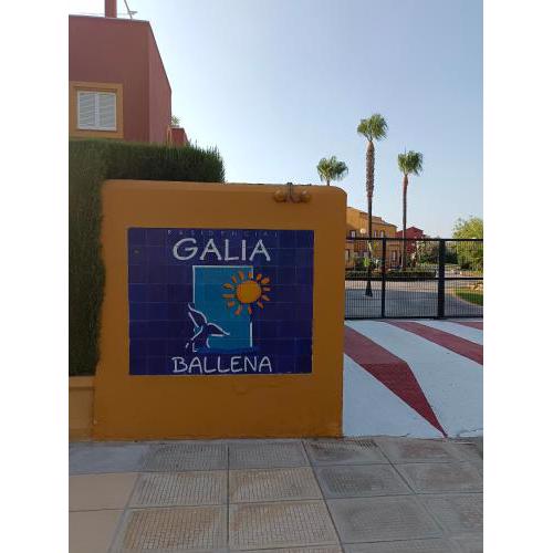 Galia Costa Ballena