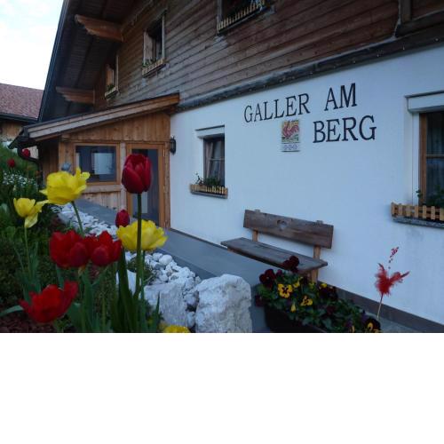Galler am Berg