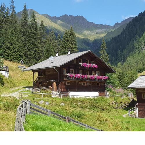 Gallfallalm