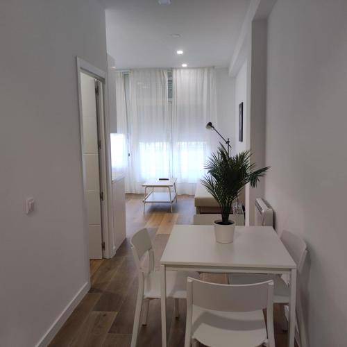 Garcia Noblejas Apartments