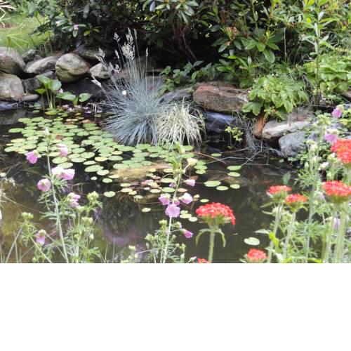 Gartenwohnung Gretl mit Biotop in Seenähe