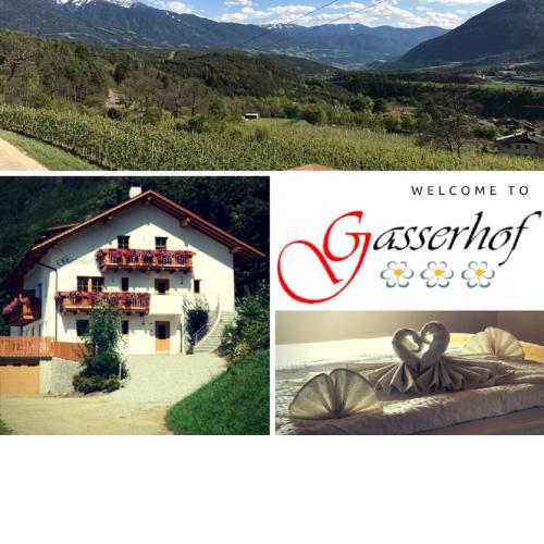 Gasserhof Aicha