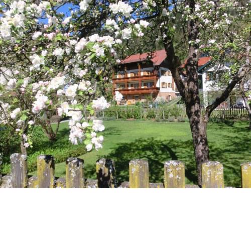 Gästehaus Struggl