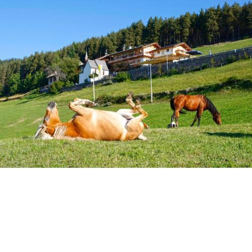Gasthaus Bad Siess