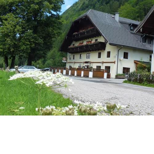 Gasthof Steinbräu