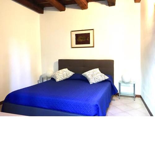 Gatto 4 House