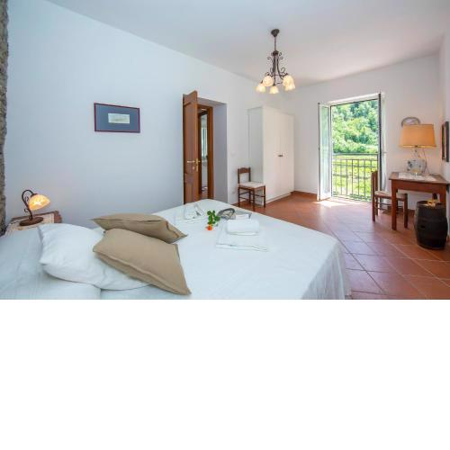 Geraneo among Vineyard - Happy Rentals