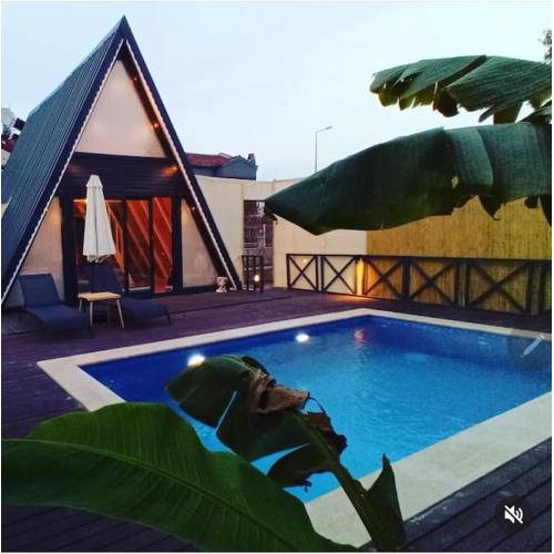Gerbera Bungalov