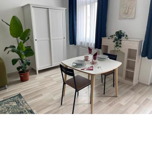 Gesamte Unterkunft im Zentrum von Wien Top 17