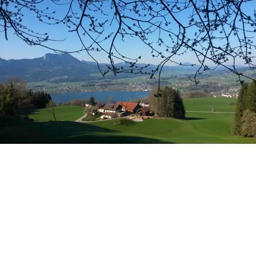Gesundheitshof Daxinger Bio