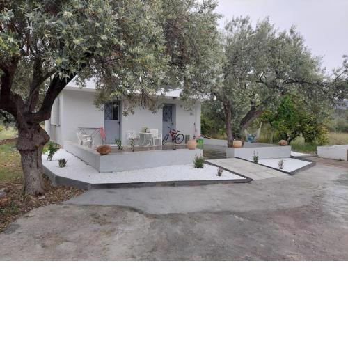 Gesyl house
