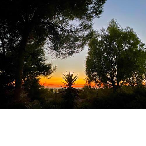 Giardinello Stagnone Sunset