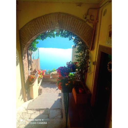 Giardino sul Lago con vasca Idromassaggio Jacuzzi
