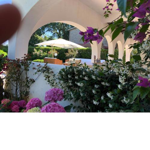Giardino sul Lago