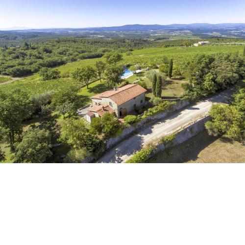Ginestra