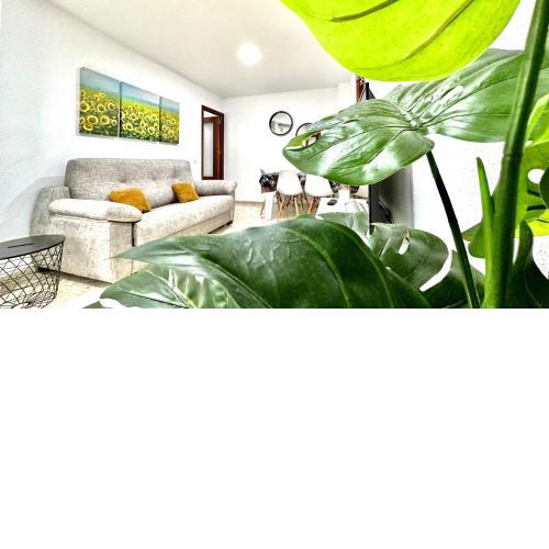 GIRASOLES Rota Apartment by Cadiz4Rentals