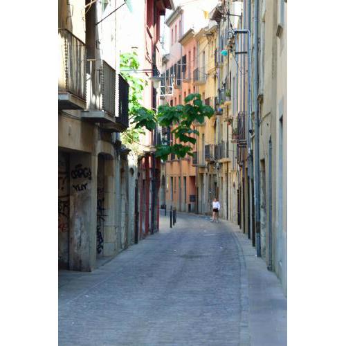 Girona Housing Ginesta 9