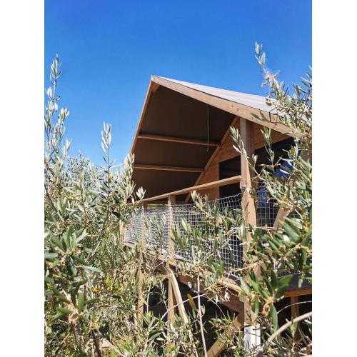 Glamping CirelliWines Abruzzo