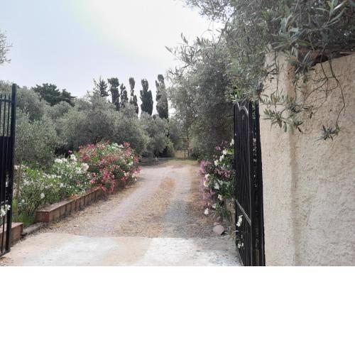 Gli Oleandri