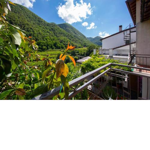 Glicine Among Vineyard - Happy Rentals