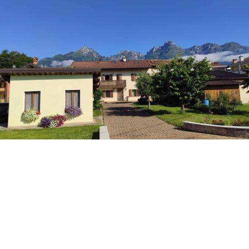 Glicine delle Dolomiti