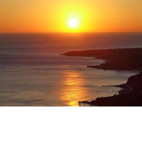 Golden Sun Apartments