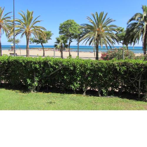 Golf Sant Jordi