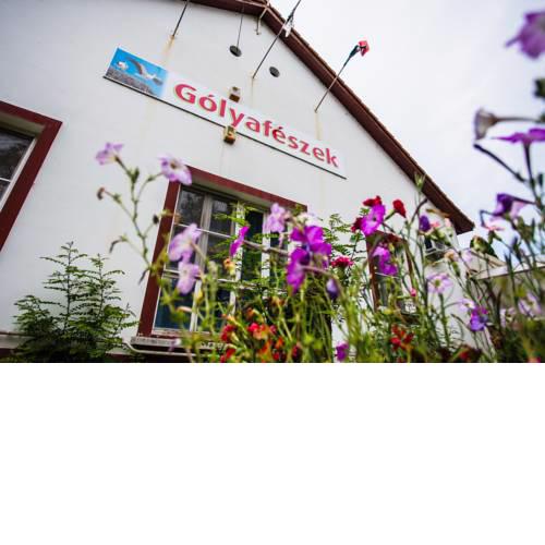 Gólyafészek Panzió
