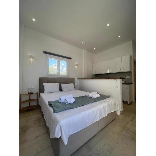 Gorgeous Mykonian Apt in Ano Mera