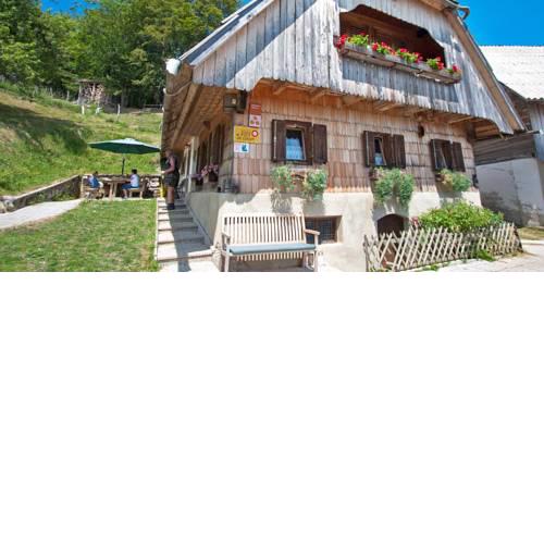Gorjup Eco Farm Stay