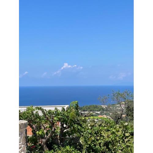 Goudis suites