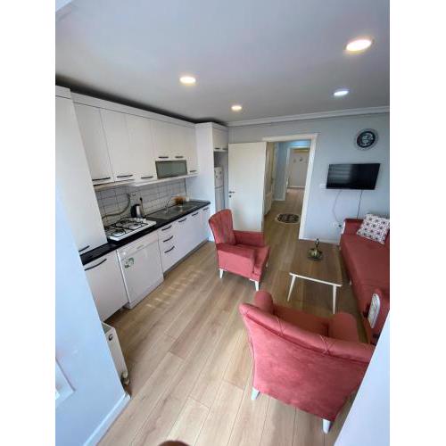 Gray Suite Apartment