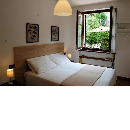 Green Corner Gelsomino