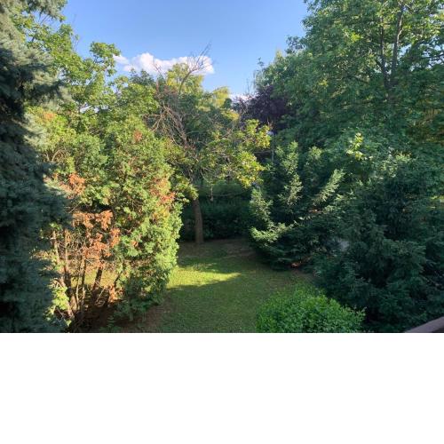 Green Holiday Apartman