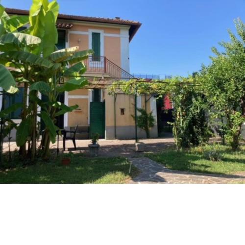 Green house di Alberto