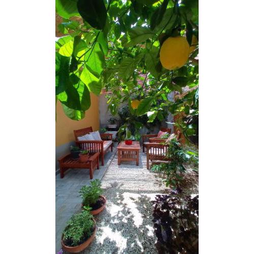 Green House