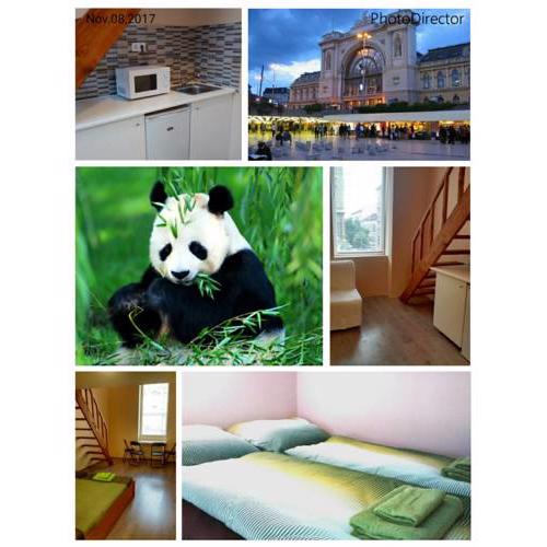 Green Panda Apartments